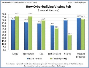 cyberbullying_how_victims_felt_2007D763E85A9581